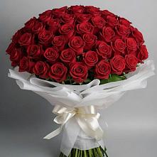 Букет 101 Красная роза Блэк Мэджик #REPLACE_PRED# Эсто-Садок