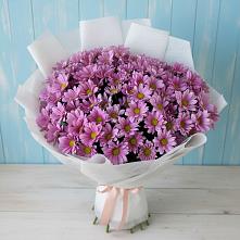 Букет цветов из:  Хризантемы #REPLACE_PRED# Эсто-Садок
