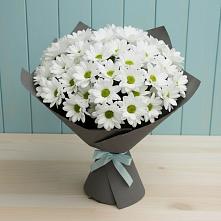 Букет цветов из:  Хризантемы в Эсто-Садок