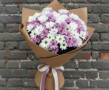 Букет цветов из:  Хризантемы в Эсто-Садок