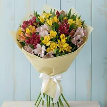 Букет цветов из:  Альстромерии в Эсто-Садок