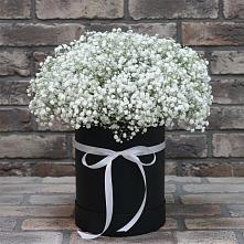 Цветочная композиция из Гипсофила в шляпной коробке #REPLACE_PRED# Эсто-Садок