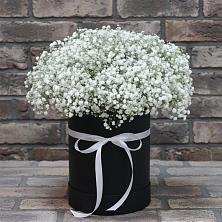 Цветочная композиция из Гипсофила в шляпной коробке в Эсто-Садок