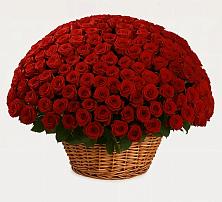 Премиум букет из: Розы в Эсто-Садок