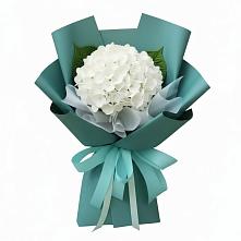Букет цветов из:  Гортензия в Эсто-Садок